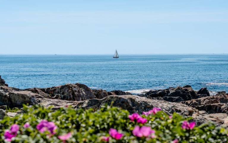 Coastal Maine Road Trip Itinerary with Kids: 6–9 Day Guide